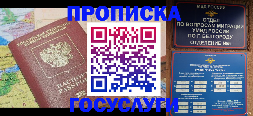прописка регистрация в Клинцах